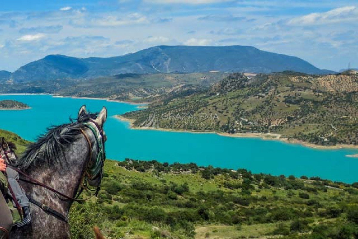 Rutas a caballo en la Sierra de Grazalema Rutas a caballo en la Sierra de Grazalema Imagen