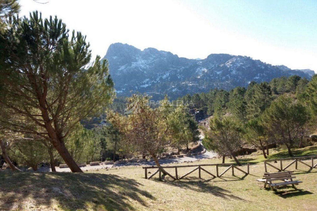 Senderismo en Grazalema Senderismo en Grazalema Imagen
