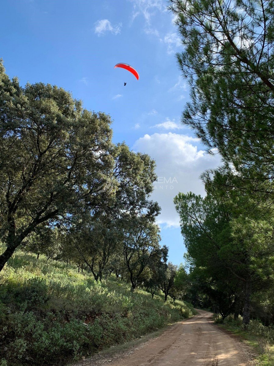 Vuelo en parapente en El Bosque Vuelo en parapente en El Bosque Imagen