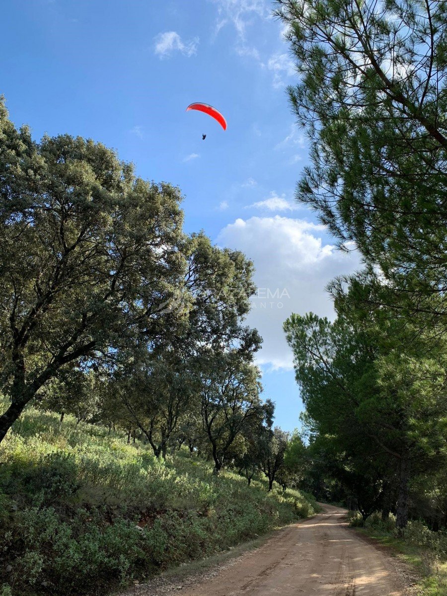 Vuelo en parapente en El Bosque Imagen