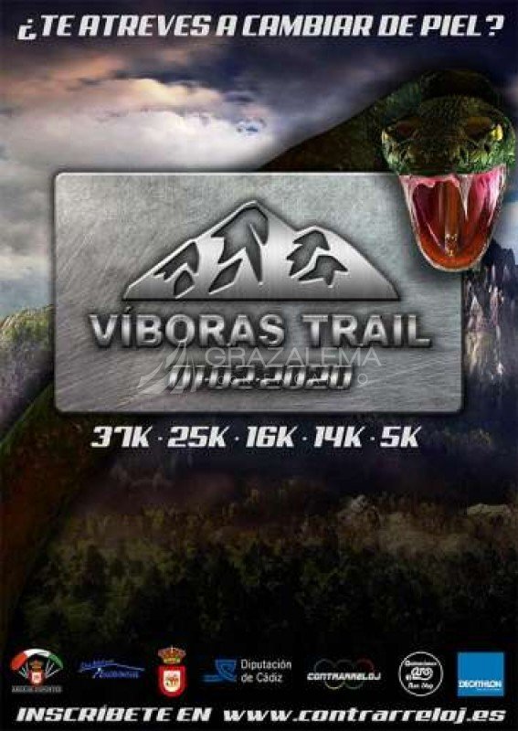 VII Víboras Trail 2020 VII Víboras Trail 2020 Imagen