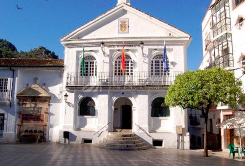 Fuente de Carlos III (Fuente de La Plaza) Imagen