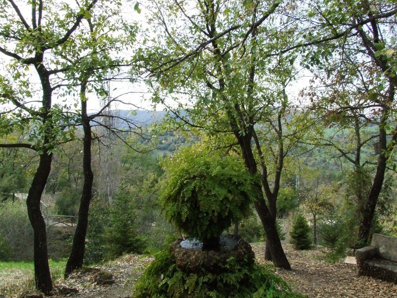 Jardín Botánico El Castillejo Jardín Botánico El Castillejo Imagen
