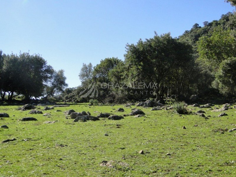 Los Llanos del Berral Imagen