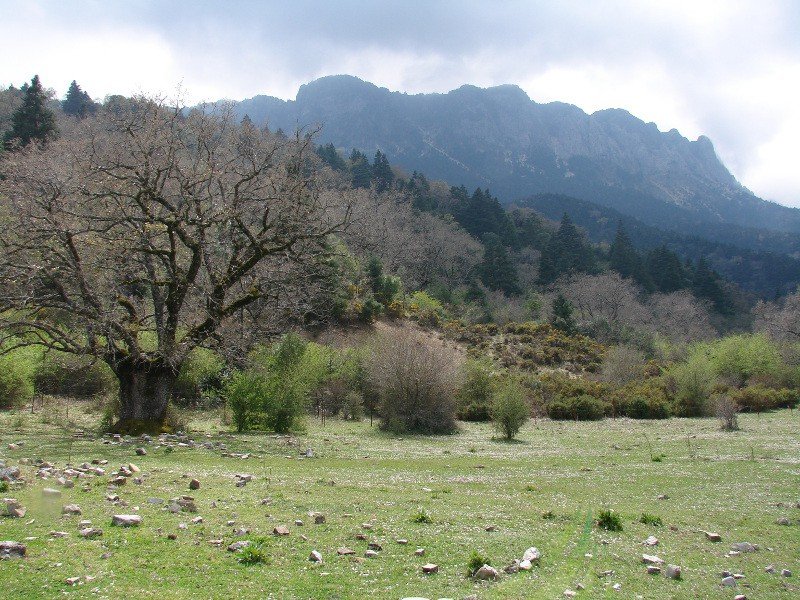 Llanos de Rabel Imagen