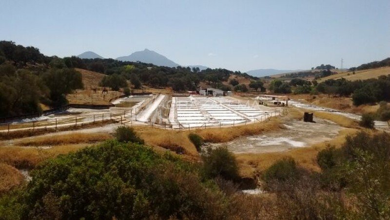 Salinas de Hortales - Iptuci Imagen