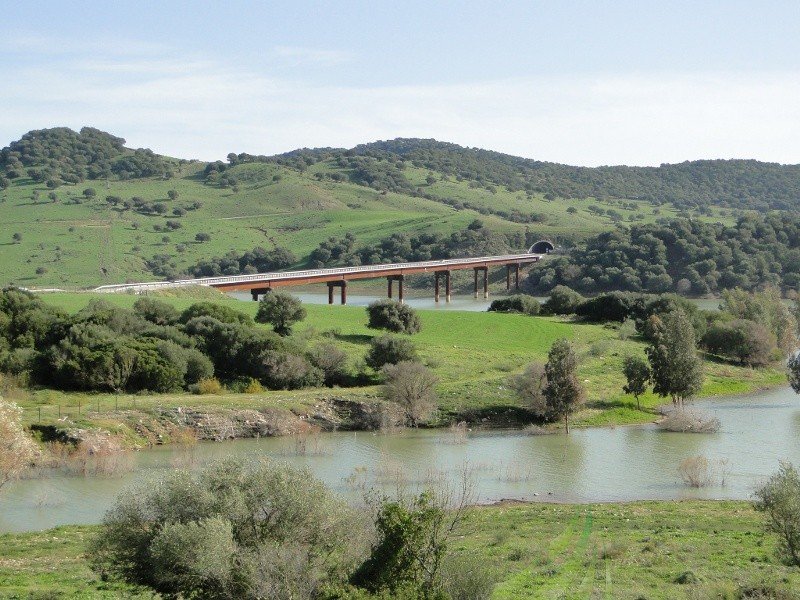 Camino de Chavarría Imagen
