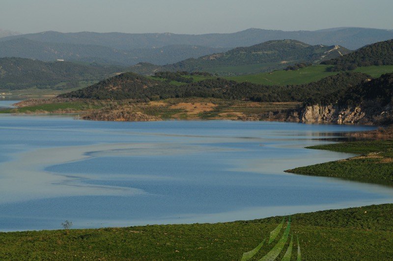 Cola del Embalse de Bornos Imagen