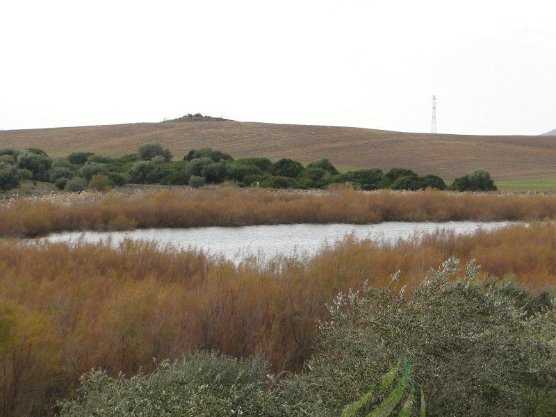 Lagunas de Espera Imagen