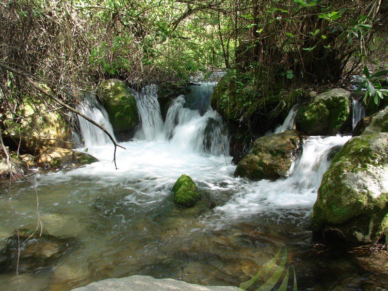 Río Majaceite Río Majaceite Imagen