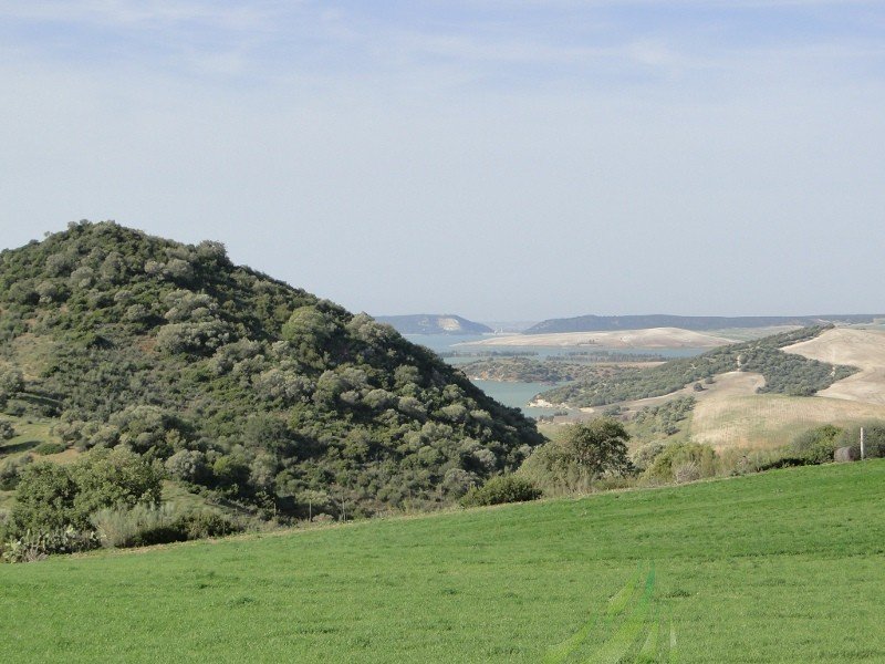 Vereda de la Venta del Silletero Imagen